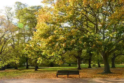 DSC_0456 (Large).JPG